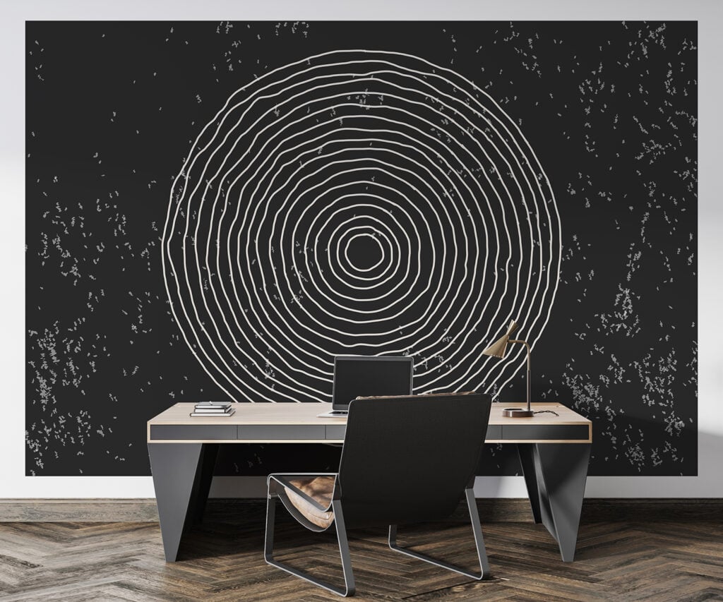 Black White Concentric Circles Wallpaper Mural