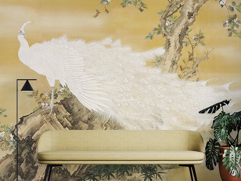 Majestic Albino Peacock Wall Murals
